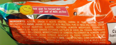 GANSITO 50 GRS