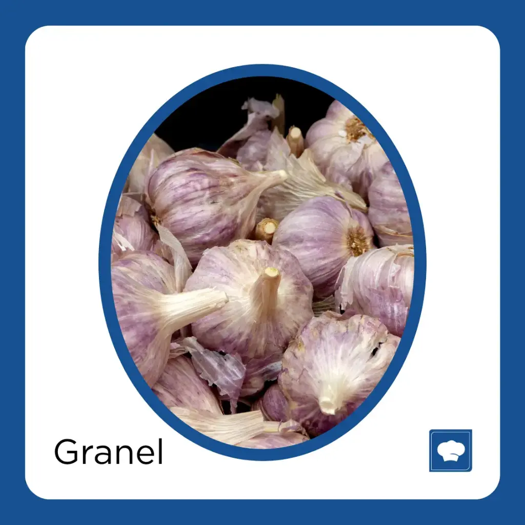 AJO MORADO KG