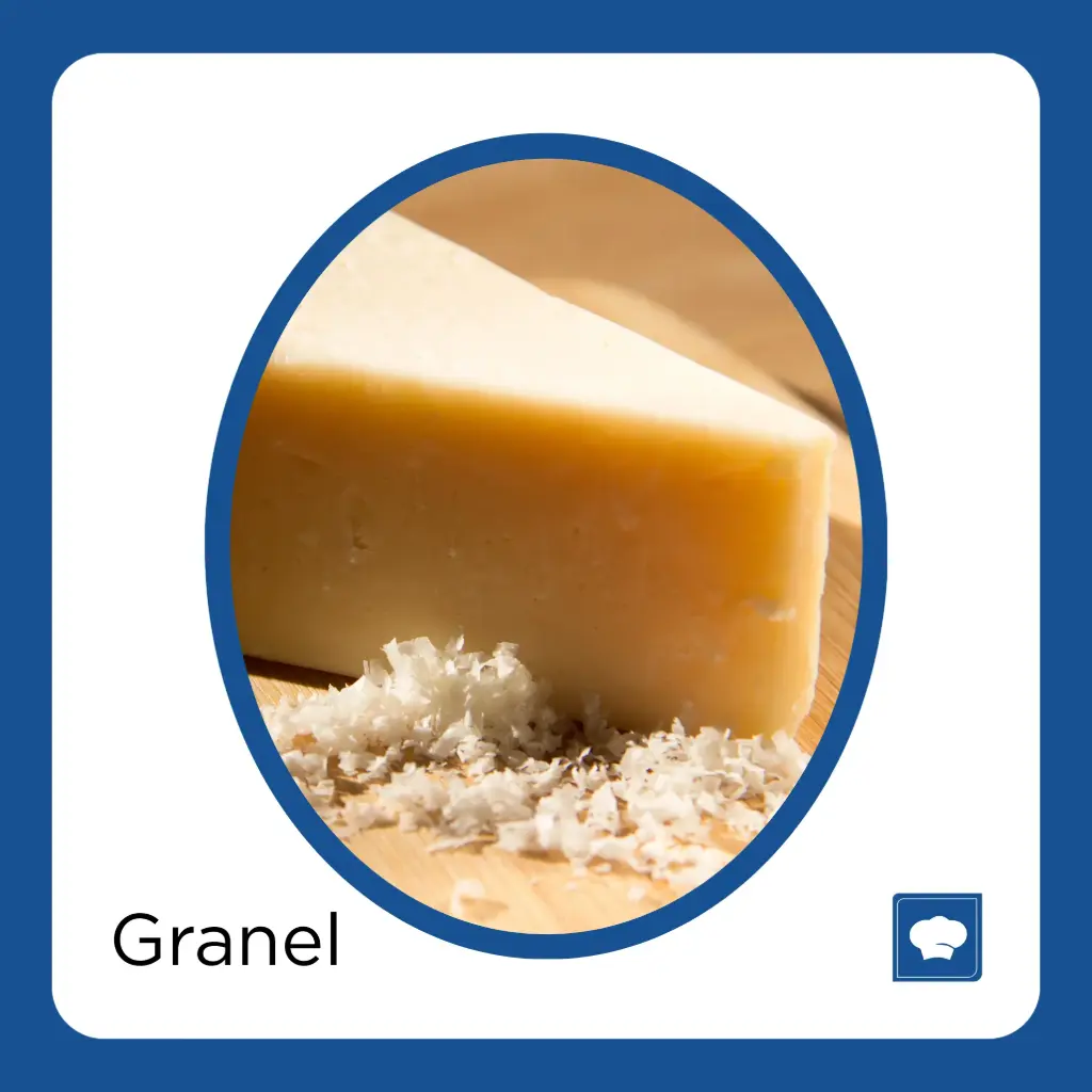 QUESO PARMESANO TROZO KG