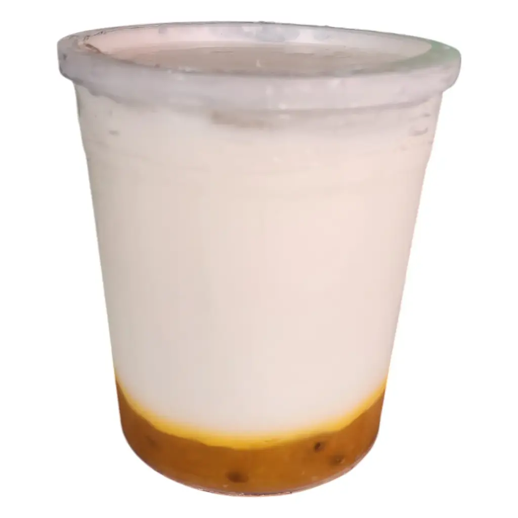 YOGHURT CASERO 1 LT