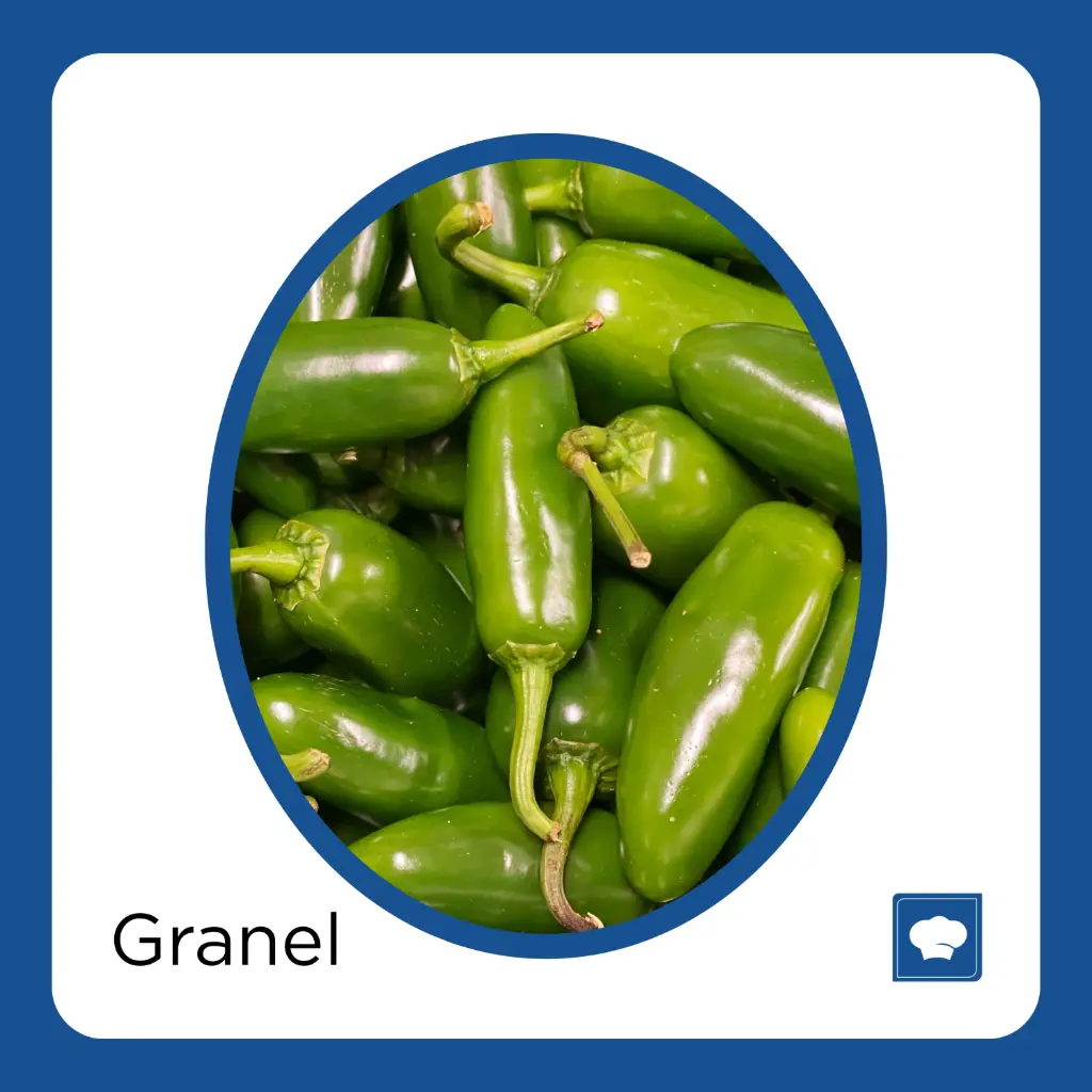 CHILE JALAPEÑO KG