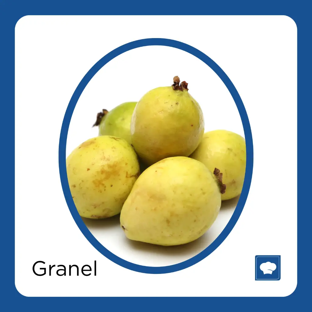 [GUAKG-KG] GUAYABA KG