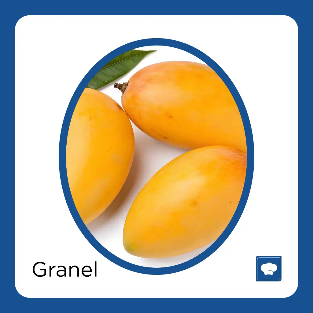 MANGO ATAULFO KG