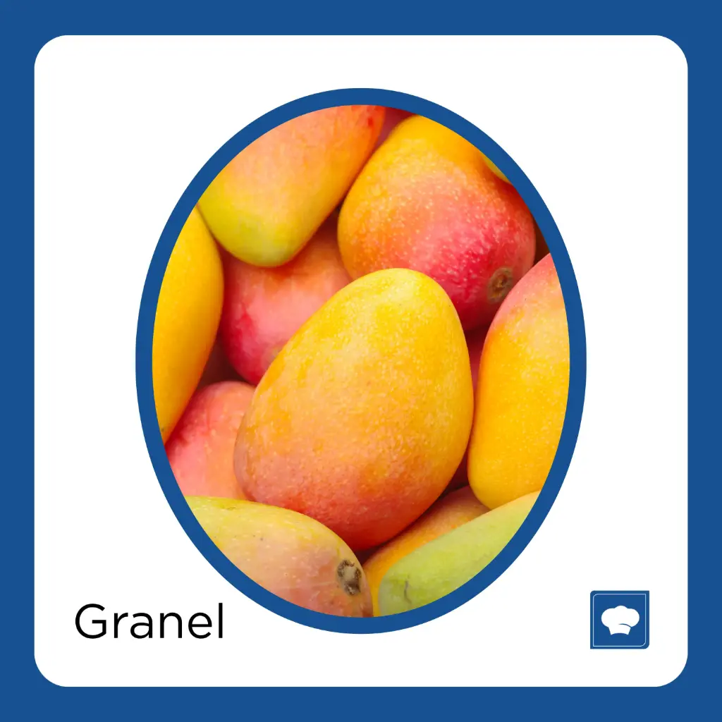 MANGO PETACON KG