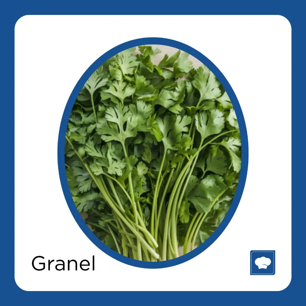 [CILMAN-MANOJO] CILANTRO MANOJO