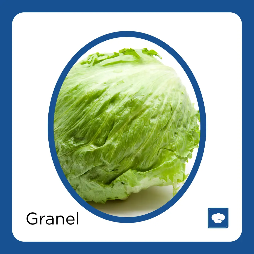 [LECPZA-PIEZA] LECHUGA PZA