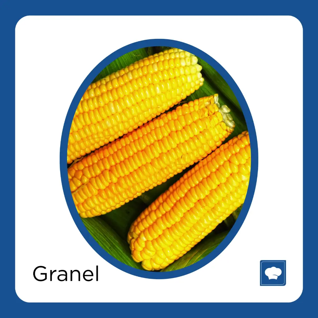 ELOTE AMARILLO PAQUETE