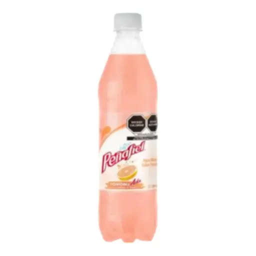 [REFTORPEN ML-600ML] REFRESCO TORONJADA PEÑAFIEL 600 ML