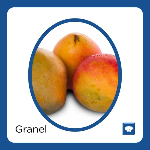 [MANTOMKG-KG] MANGO TOMMY KG