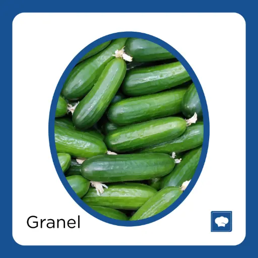 [PEPAMEKG-KG] PEPINO AMERICANO KG