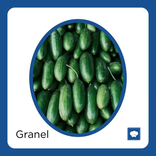 [PEPKG-KG] PEPINO KG