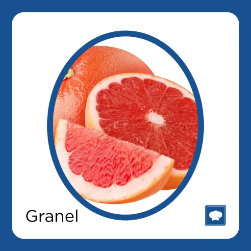 [TORKG-KG] TORONJA KG