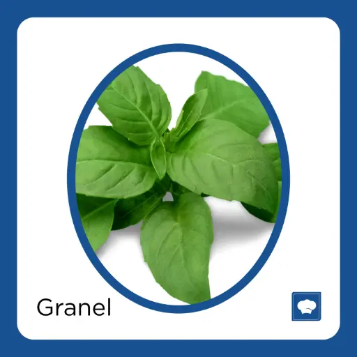 [ALBKG-KG] ALBAHACAR KG