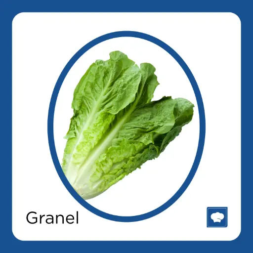 [LECOREPZ-PIEZA] LECHUGA OREJONA PZ