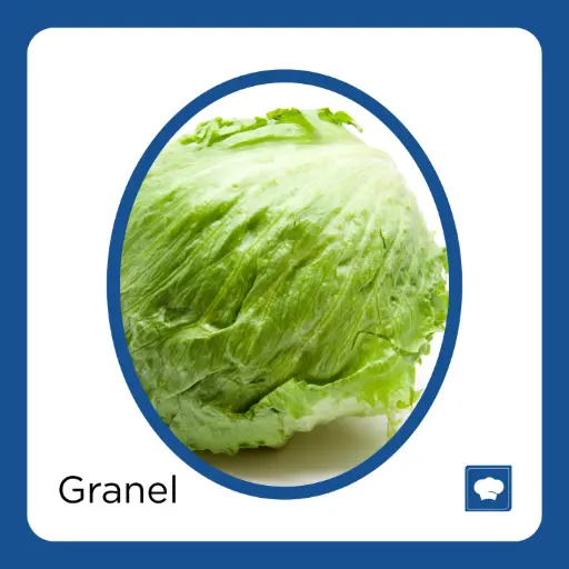 [LECROMPZ-PIEZA] LECHUGA ROMANA PZ