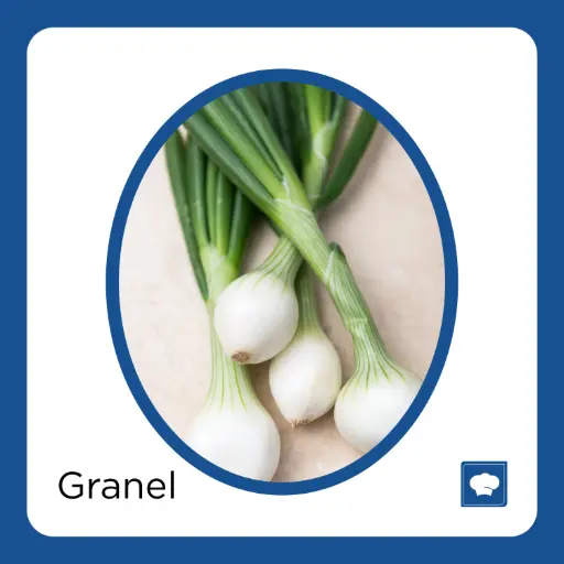 [CEBCAMMAN-MANOJO] CEBOLLA CAMBRAY MANOJO