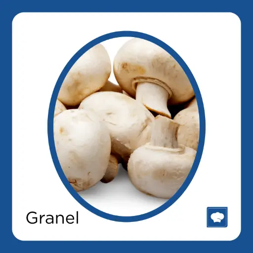 [CHAPZ-PIEZA] CHAMPIÑON PZ