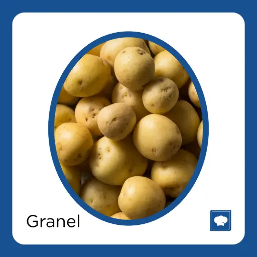 [PAPCAMKG-KG] PAPA CAMBRAY KG